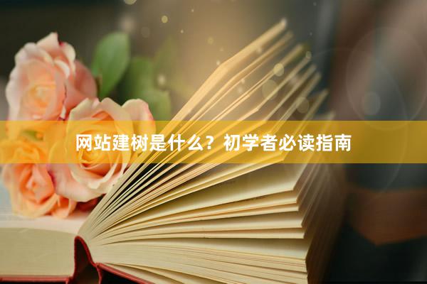 网站建树是什么？初学者必读指南