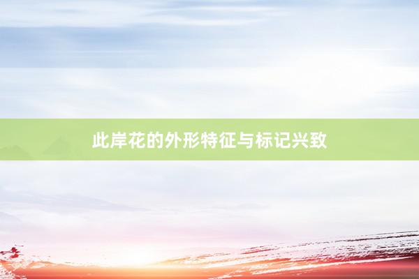 此岸花的外形特征与标记兴致